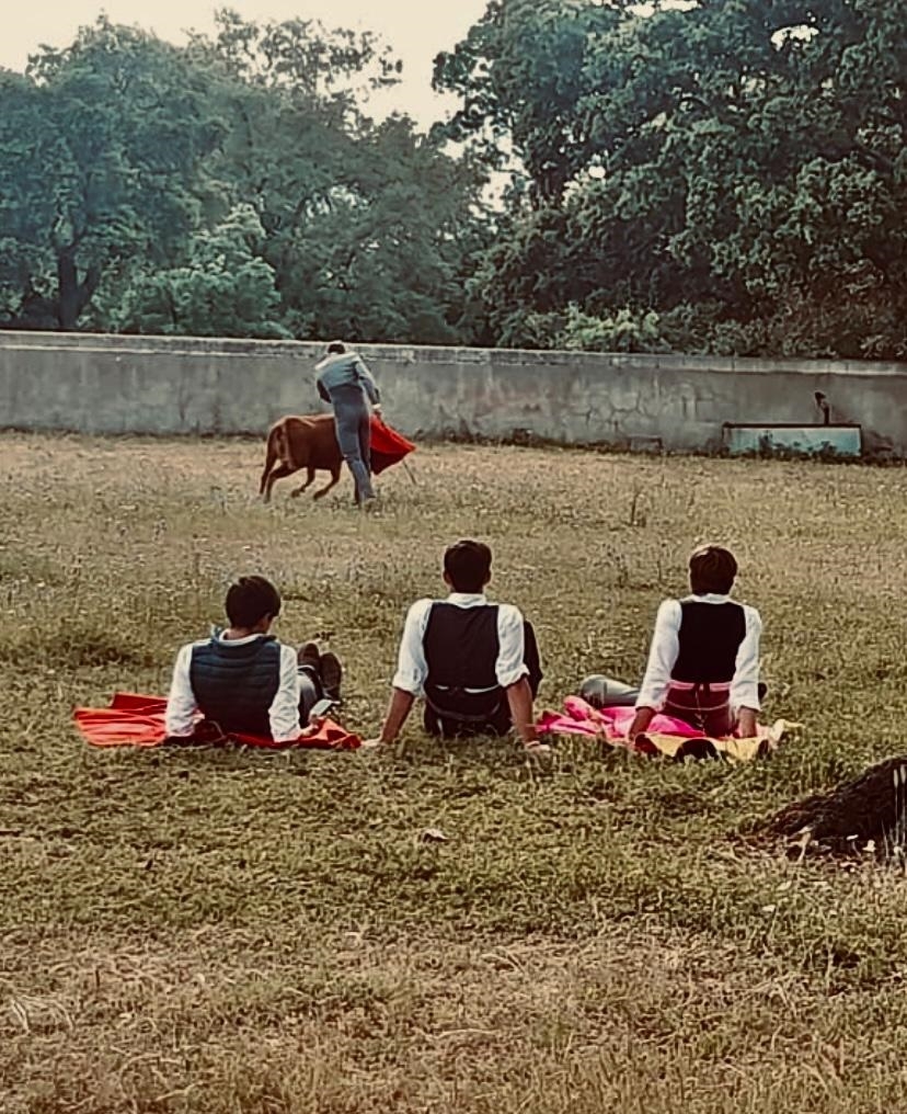Escuela Taurina de Castellón